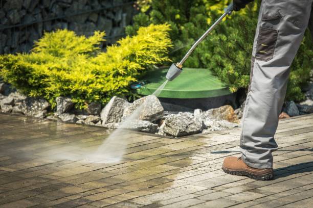 Best Solar Panel Cleaning  in Bowie, TX